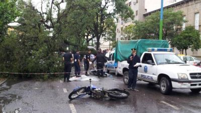 Un lapacho cay� en plena avenida y mat� a un motociclista