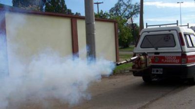 Los mosquitos se adelantaron y la Provincia sali� a �cazarlos�