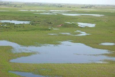 Hay 1.000 hect�reas inundadas y 40 tambos afectados al norte de Ucacha
