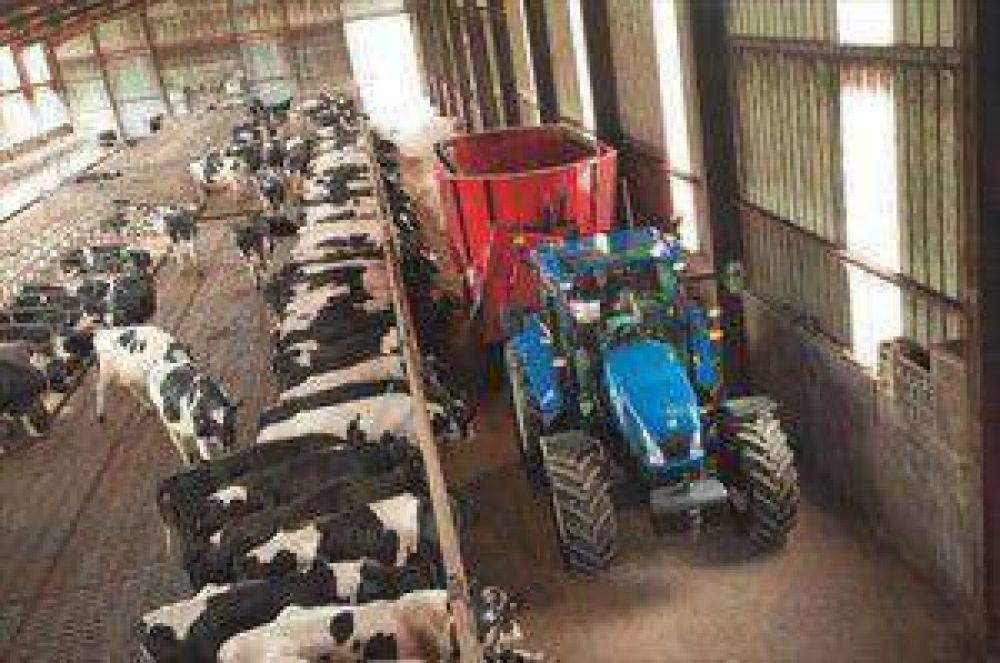 Espa�a: Reclaman que m�s supermercados paguen mejor la leche a los ganaderos