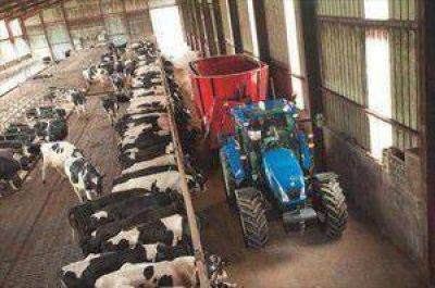 Espa�a: Reclaman que m�s supermercados paguen mejor la leche a los ganaderos