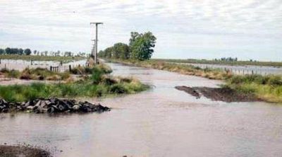 En la zona rural cercana a El Fort�n ya hay m�s de 10 mil hect�reas inundadas