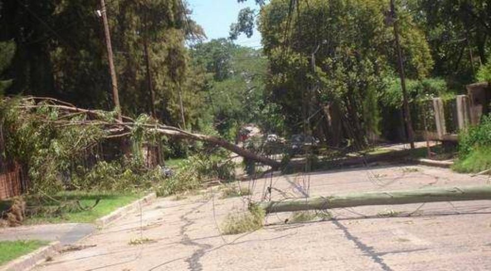 Piedra y viento arrasaron en el sur con 20 mil h�ct�reas de soja y ma�z