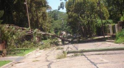 Piedra y viento arrasaron en el sur con 20 mil h�ct�reas de soja y ma�z
