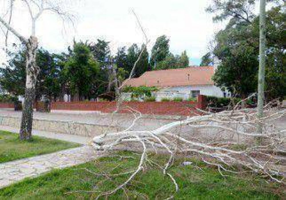 El viento opac� la Navidad 
