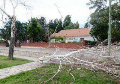 El viento opac� la Navidad 
