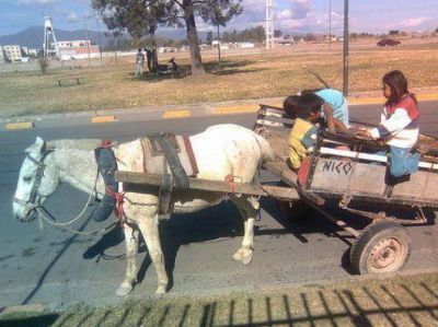 Sustituci�n del Tas, una herramienta m�s para erradicar el trabajo infantil