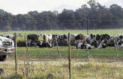 Crear�n fiscal�as especializadas en delitos rurales