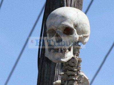 Espeluznante hallazgo de un esqueleto en un poste p�blico