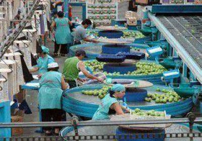 No hubo avances en paritaria de la Fruta 