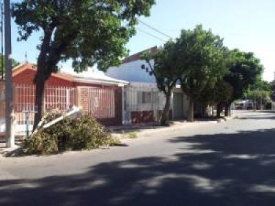 La Municipalidad autoriza solo los mi�rcoles para sacar residuos voluminosos 