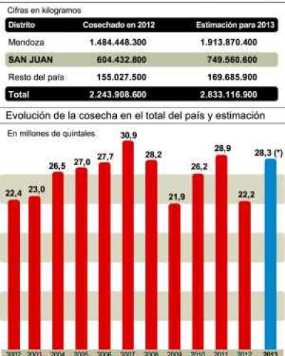 Esperan cosecha normal y con un 26% m�s de uvas