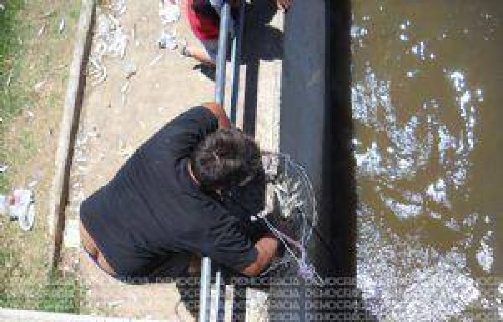 Pese a los controles del Municipio, se sigue depredando el pejerrey en Jun�n