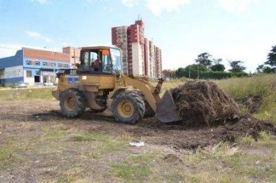 Contin�a el programa que apunta al mantenimiento de terrenos bald�os