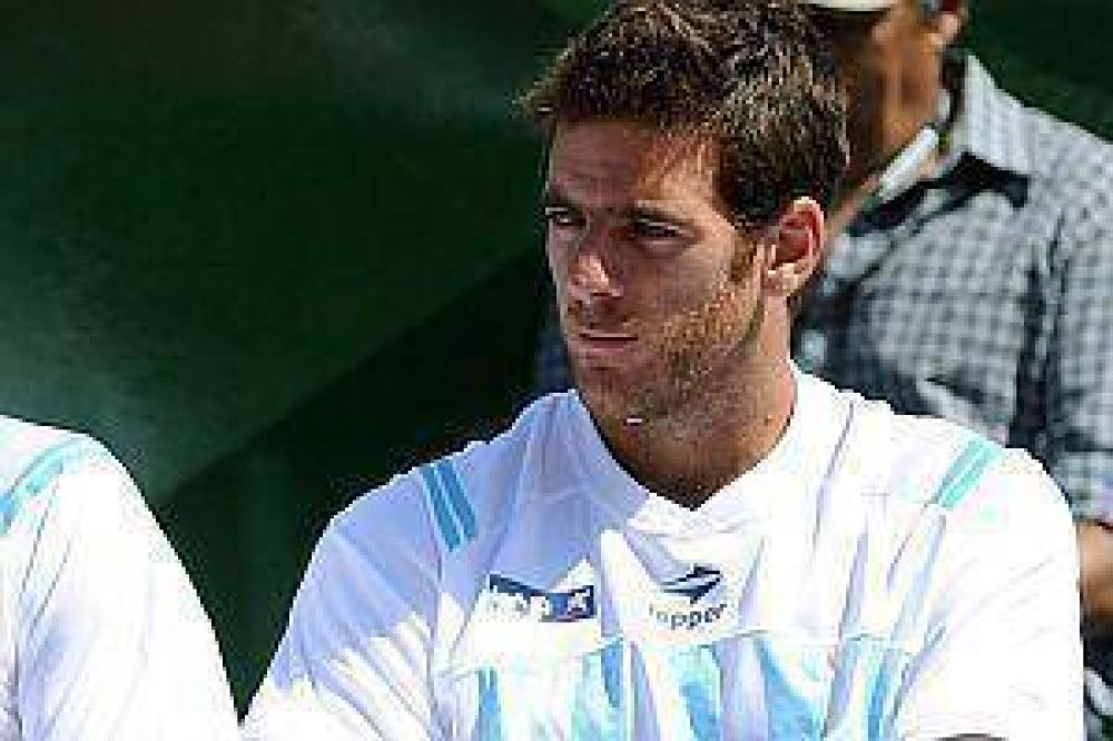 Del Potro se baj� de la Copa Davis 2013 para priorizar el circuito