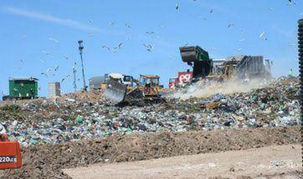 Roggio se mete en la pelea de la basura