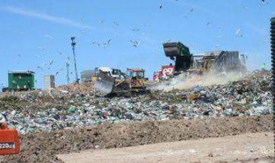 Roggio se mete en la pelea de la basura