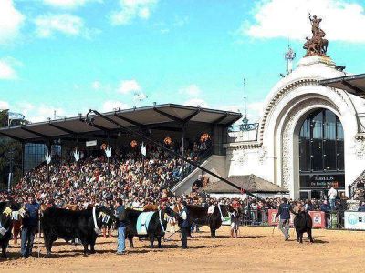La Sociedad Rural apel� el fallo judicial que aval� su pol�mica estatizaci�n
