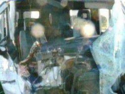 Combi atropell� a dos caballos en Ruta 5 altura Carlos Casares: Un herido grave