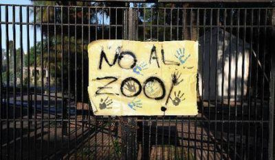 Tras la muerte del oso polar, en las redes sociales piden el cierre del Zoo porte�o