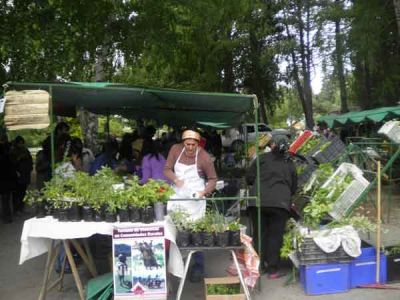 Volvi� la Feria Franca 