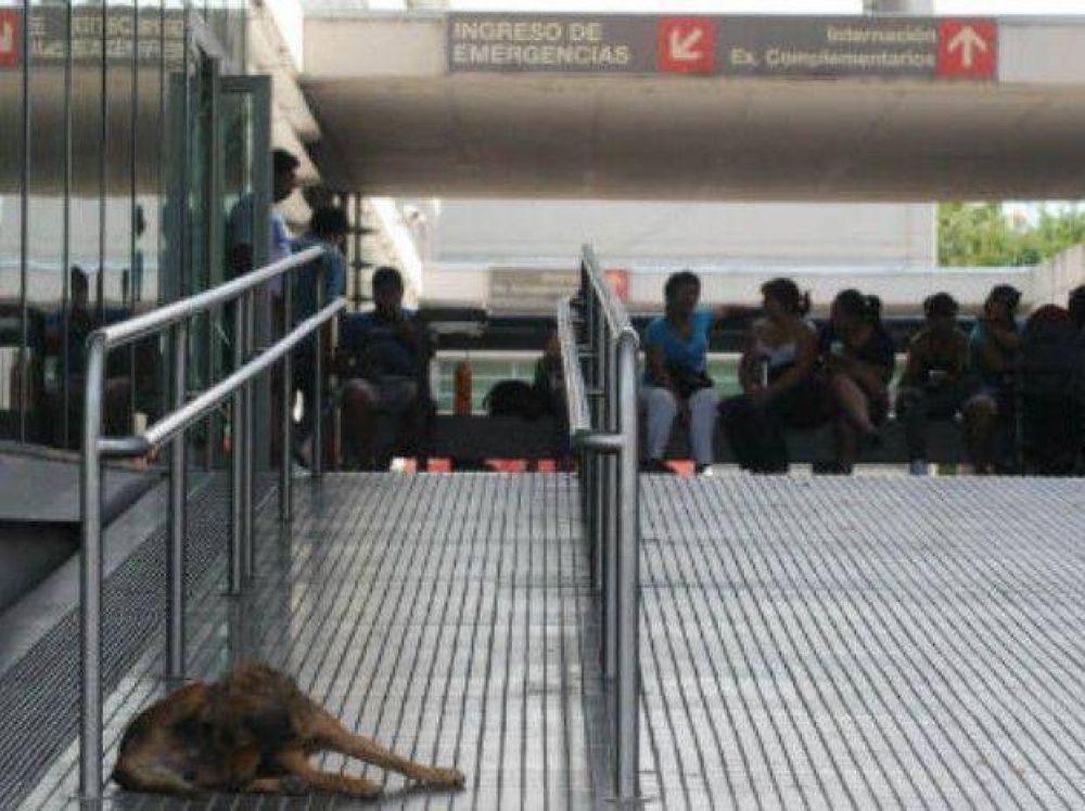 Un operario sufri� graves quemaduras al explotar una celda de telefon�a en la zona sur de Rosario