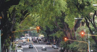 Buenos Aires, m�s verde que nunca, recibe a las mariposas