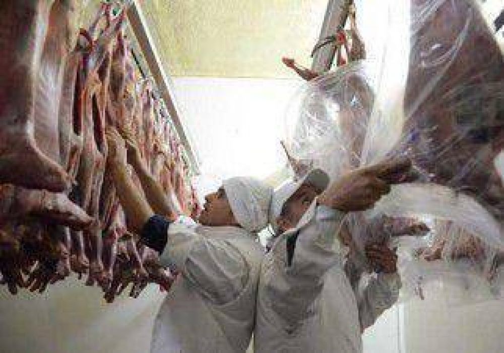 Ya se vendieron 650 chivos en el Mercado Concentrador 