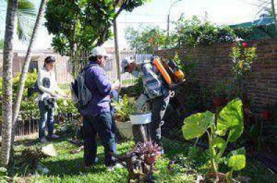 Acciones contra el dengue se centran en pasos de entrada a la provincia