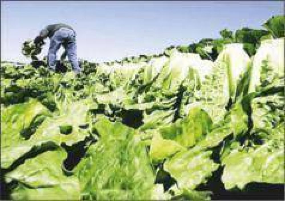Destacaron los logros alcanzados para el fortalecimiento de la producci�n hort�cola y ca�era en la provincia