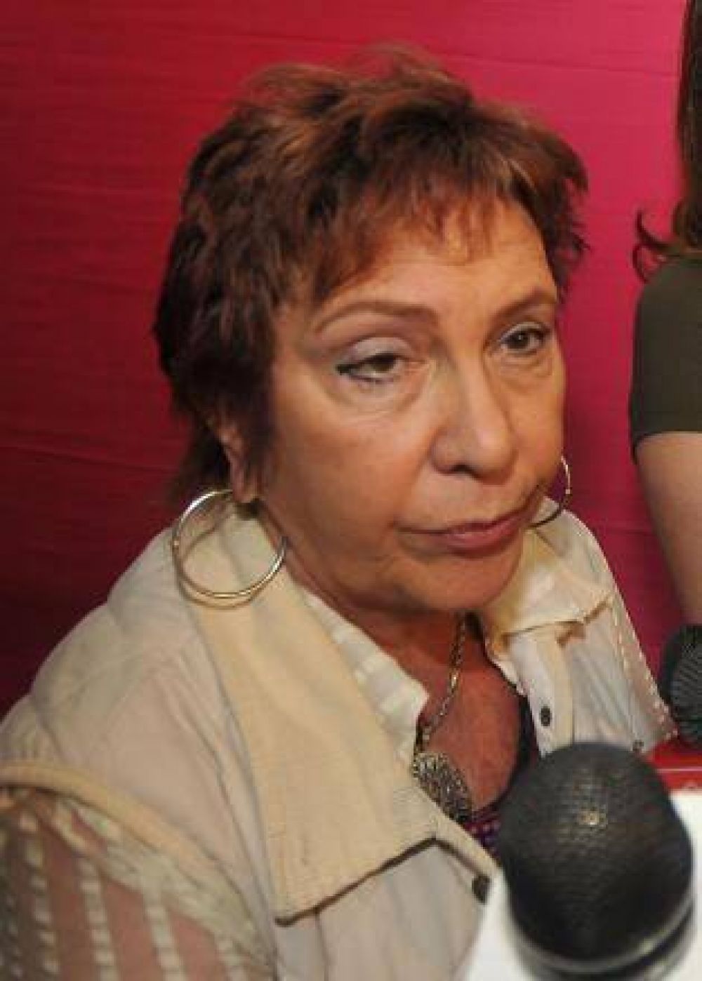 Durante 2013, la UNT atender� el bullying