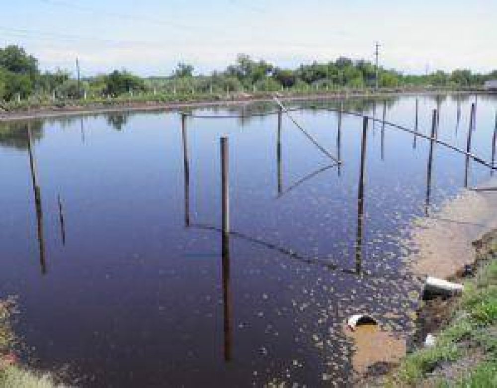 Tucum�n dice que no hubo contaminaci�n