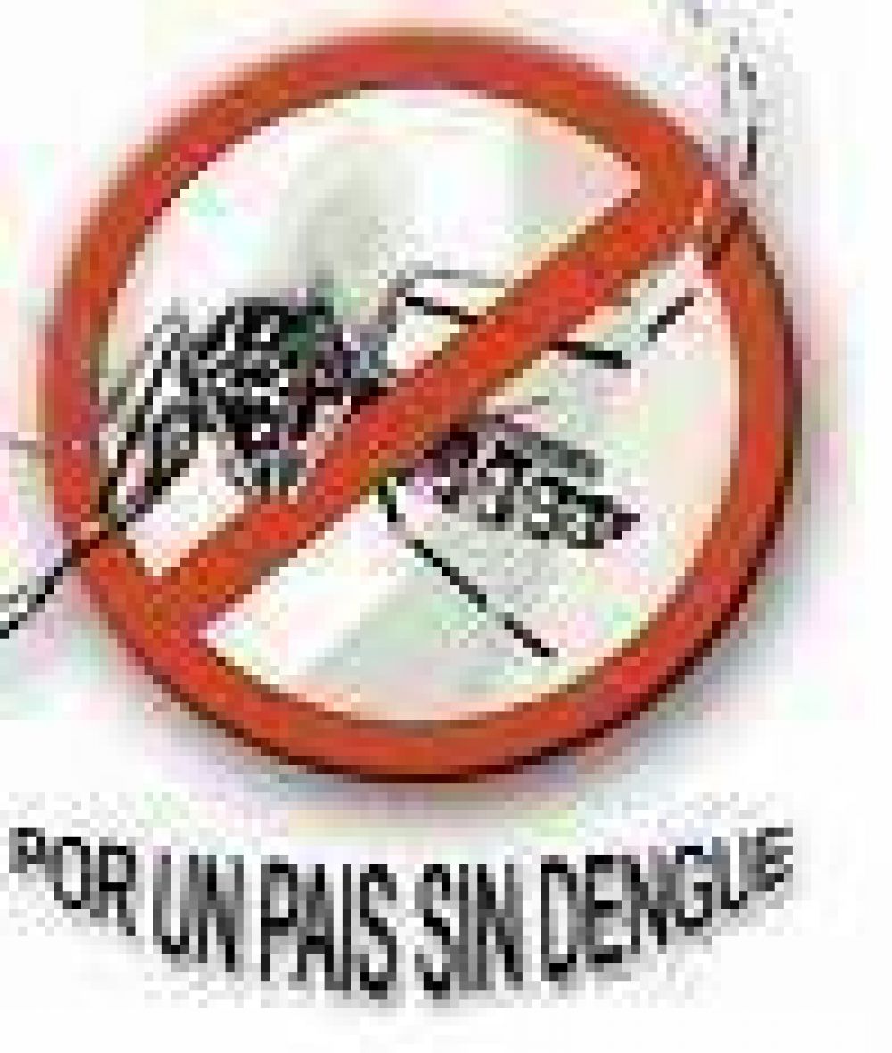 La UNT presenta una gu�a para la prevenci�n del Dengue