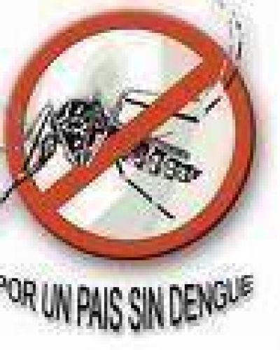La UNT presenta una gu�a para la prevenci�n del Dengue