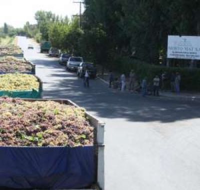 En 2012 se vendi� todo el mosto y a un precio r�cord