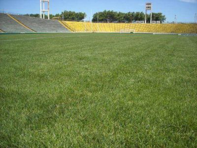Concejales inspeccionar�n el Minella
