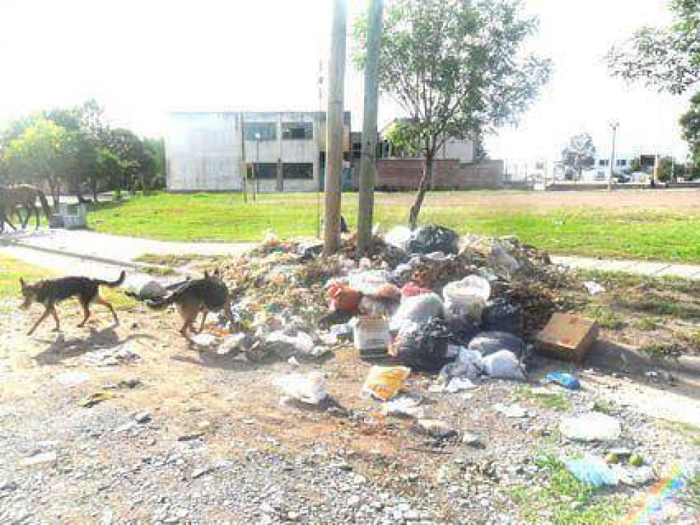 Piden que reubiquen feria que utiliza predios  Del Bachillerato 2 