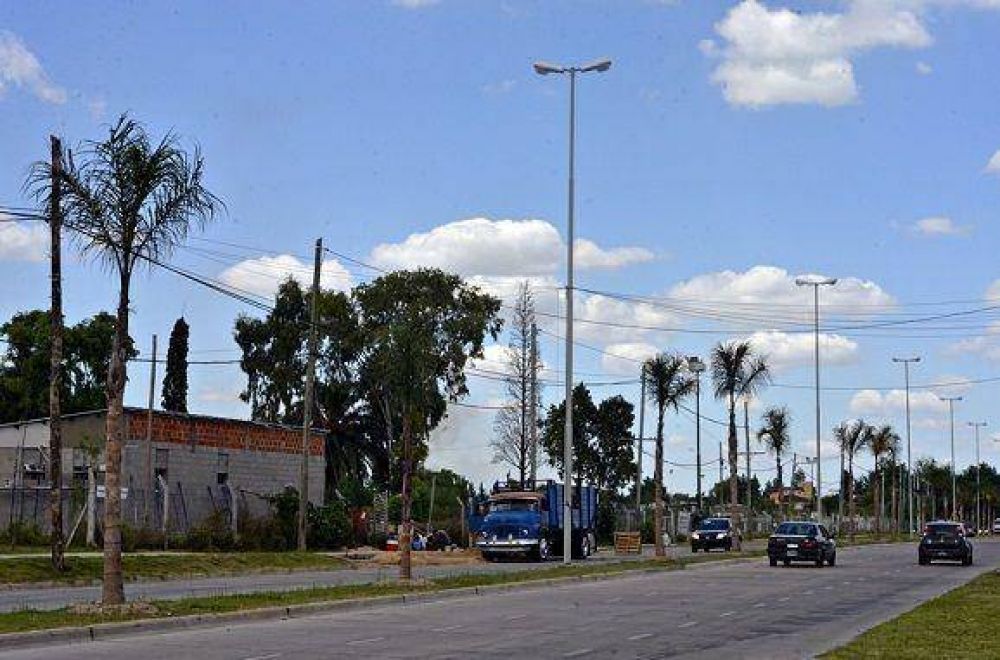 El Municipio de San Fernando plant� m�s de tres mil �rboles