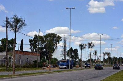 El Municipio de San Fernando plant� m�s de tres mil �rboles