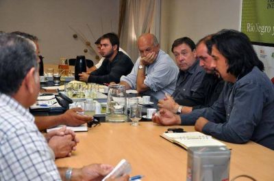El gobierno asumir� parte de los costos laborales 