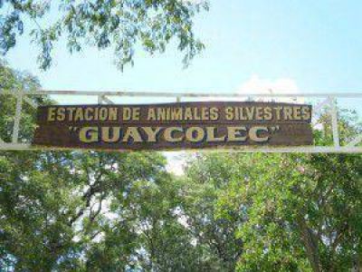 Intenso movimiento tur�stico en toda la provincia