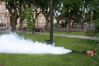 El Municipio realiza fumigaciones en parques y plazas de la Ciudad