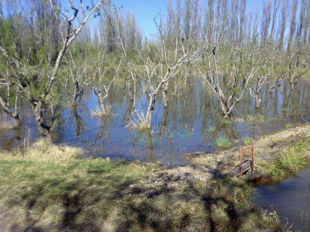 Trabajan para optimizar el riego en chacras de R�o Colorado 