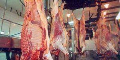 Estiman que seguir� creciendo la faena en la provincia