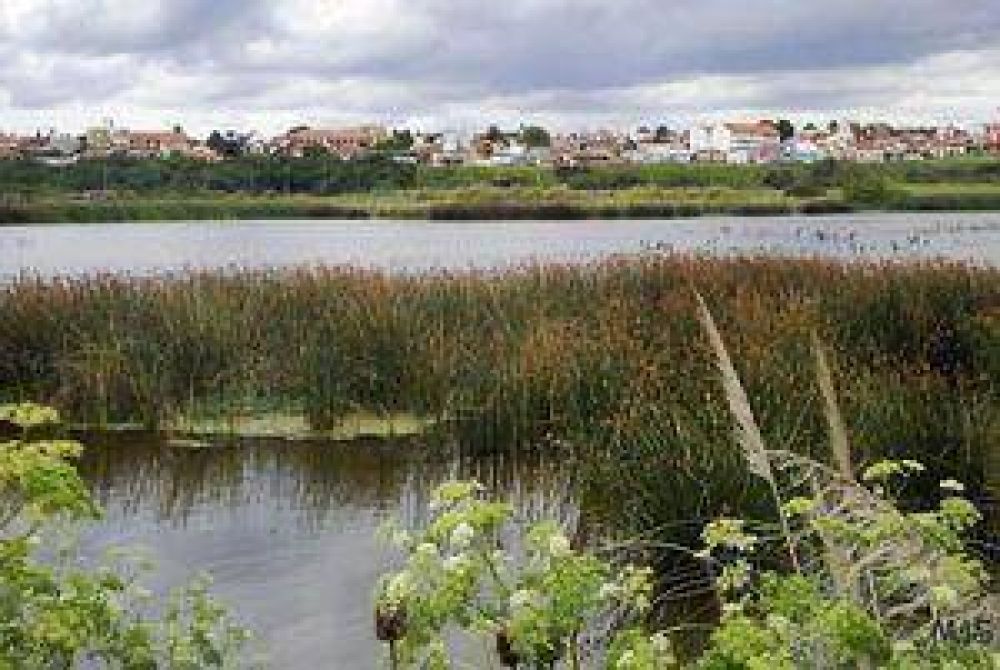 Piden a Scioli que declare ilegales las obras en la Reserva del Puerto