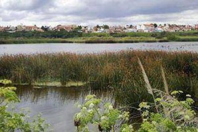 Piden a Scioli que declare ilegales las obras en la Reserva del Puerto