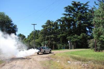  La reaparici�n del barig��, un alerta que preocupa a los vecinos