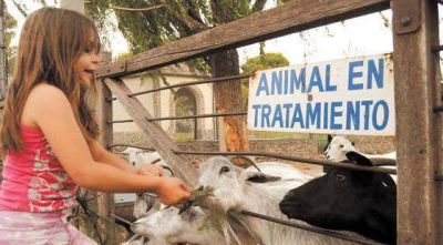 Iniciaron los tr�mites para cerrar el zool�gico