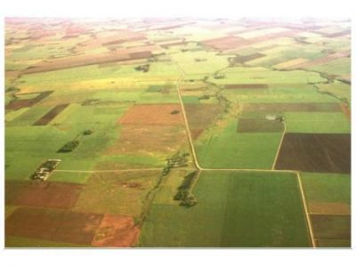 Facilidades tributarias para alquileres y arrendamientos