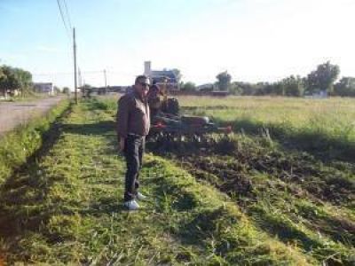 El Municipio concret� trabajos de limpieza en la zona oeste 